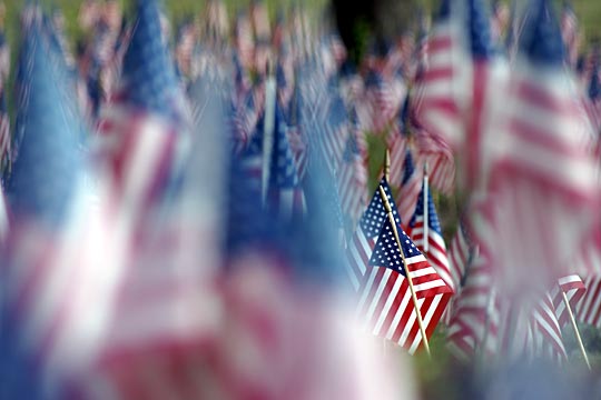 Field of Flags